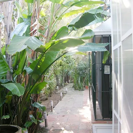 Casa Los Olivillos